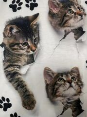Kadın Kısa Kollu Kedi Ve Pati Baskılı Süprem T-shirt