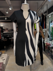 Kadın Dalgıç Kumaş Kısa Kollu V Yaka Tek Taraf Zebra Desen Elbise